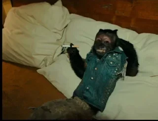 Video sticker 🌟 Больше стикеров тут: @stikery_emodzi_memy