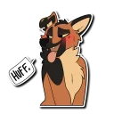 Video sticker 😍 Burk