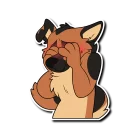 Video sticker 😖 Burk