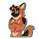 Video sticker 😏 Burk