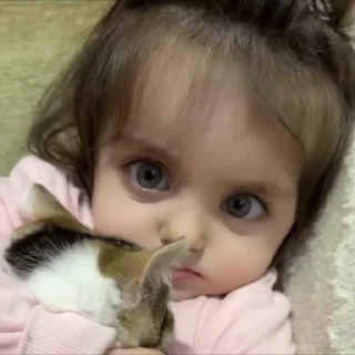 Video sticker 🍡 @silinumber  شماره مجازی