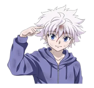 Video sticker 🙂 Hunter X Hunter ~@AnimeLibrary_Stickers