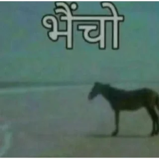 Video sticker 🥰 Memes Pack-2(@stickerzmandi)