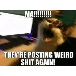 Telegram sticker 🫥 Memes Pack-2(@stickerzmandi)