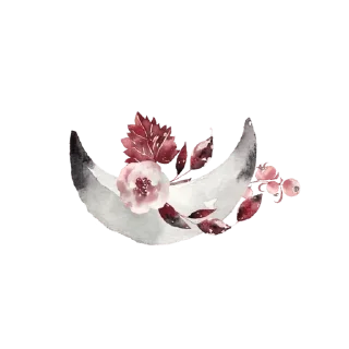Video sticker 🌫 @Madre_Tierra_5D 🌼 — @stckrRobot