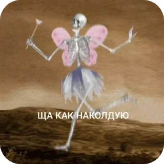 Video sticker 🐞 Больше стиков тут: @stikery4
