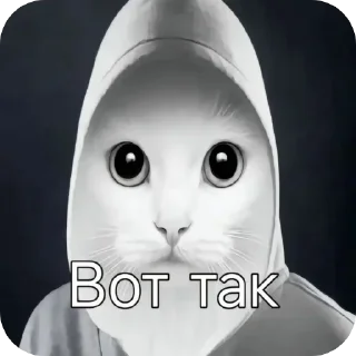Telegram sticker 🐱 Больше стиков тут: @stikery4