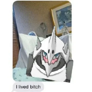 Video sticker 😎 moods