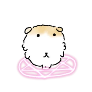 Video sticker ⭐ 똥그랑지강지 @moe_sticker_bot