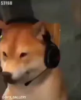 Video sticker 🎧 Truck_Self