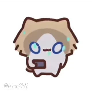 Video sticker 🐈 - ᗷY @ahMshY 𓉮 . Cat
