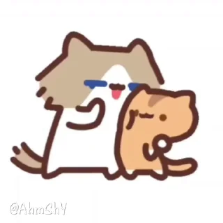 Video sticker 🐈 - ᗷY @ahMshY 𓉮 . Cat