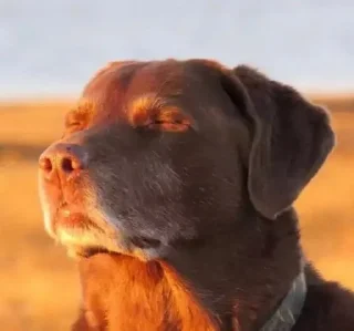 Telegram sticker 🌟 ARYN • Mythical Posts :: @fStikBot