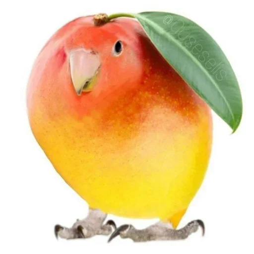 Telegram sticker 🐤 Femboy community @TomboyFemboy