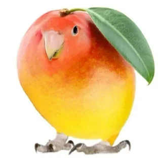 Video sticker 🐤 Femboy community @TomboyFemboy