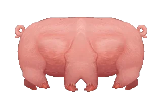 Video sticker 🐖 Сильный Свино-Нахрюк🐖 @bednihryak_bot