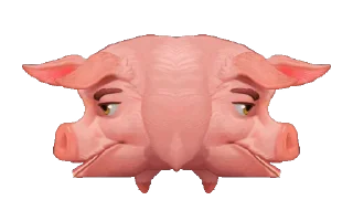 Video sticker 🐖 Сильный Свино-Нахрюк🐖 @bednihryak_bot