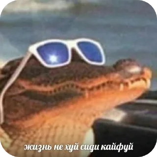 Telegram sticker 😎 Крокобулки :: @fStikBot