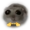 Video sticker 🌟 @eeg1rl 𝑰'𝒎 ...