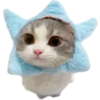 Telegram stiker 🐱 - ૮❨ 𖧁୧ ׅ ⲙꪱyu ֹ 🎀 ✩ cats kawai -