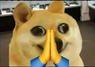 Telegram sticker 😂 Bhavdu