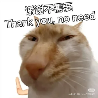 Telegram sticker 🙅‍♂️ randosidk