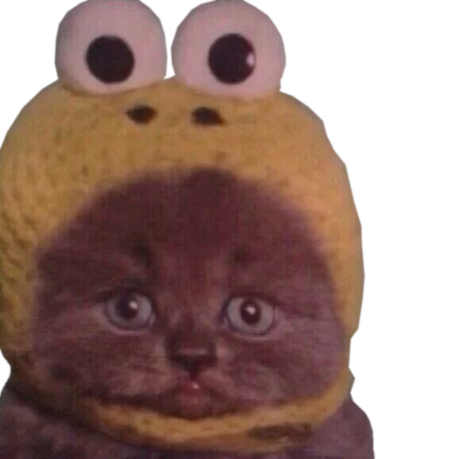 Telegram sticker 🥺 Memes by @fuckingenglish