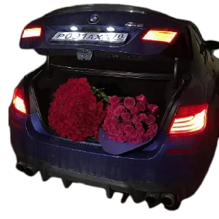 Video sticker 🚗 V raxate @UpravlenieEZ