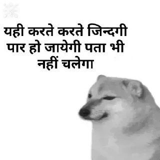 Telegram sticker 😐 ៹ ʟᴜɪ's Sticker Pack (@Dazai_ProRobot)