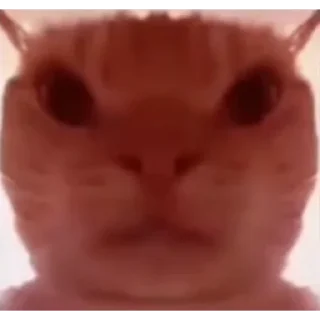 Telegram sticker 🤨 Delta Force Cat Meme