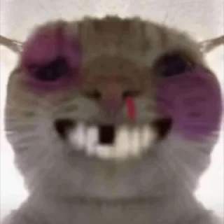 Telegram sticker 💀 Delta Force Cat Meme