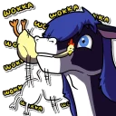 Video sticker 🐔 @Pasquali_the_sergal 's Collection — @stckrRobot