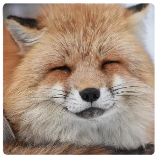 Sticker ☺️ Marbles Trashpack