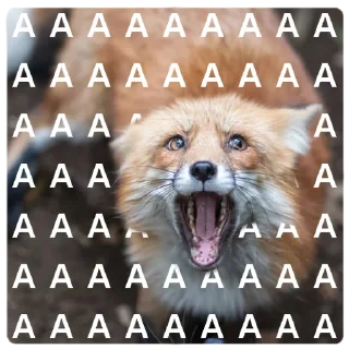 Video sticker 😨 Marbles Trashpack