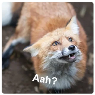 Video sticker ☹️ Marbles Trashpack