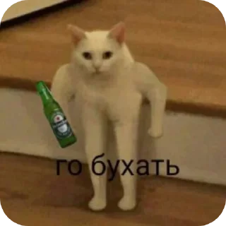 Телеграм стикер 🐱 Брбр