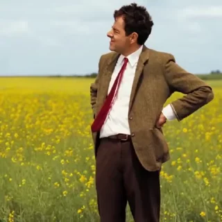 Video sticker 🧐 ✨️ DФCIM DΞ LΞIDΞ 🩵✨️