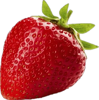 Video sticker 🍓 шикарный хавчик 2.0 by @ayankastckrs