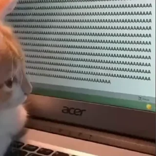 Video sticker 🫠 ⌅вуѕѕ ⋆⋆⋆'s Video-Pack