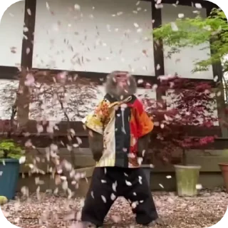 Video sticker 🌟 ⌅вуѕѕ ⋆⋆⋆'s Video-Pack