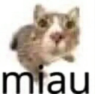 Telegram stiker 😺 Explosão gatinho