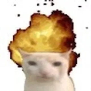 Telegram stiker 🤯 Explosão gatinho