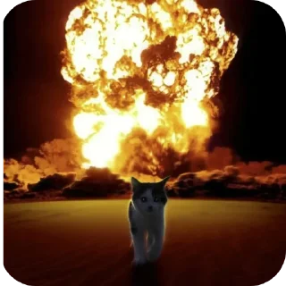 Video sticker 🔥 Explosão gatinho