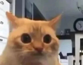 Video sticker ❤ 🤗 @digianti9bot