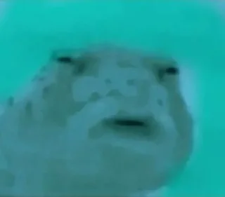 Telegram sticker 🌾 🤗 @digianti9bot