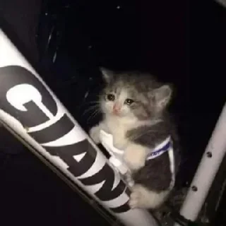 Telegram sticker 🙂 🤗 @digianti9bot