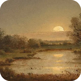 Video sticker 🖼 VORTEX