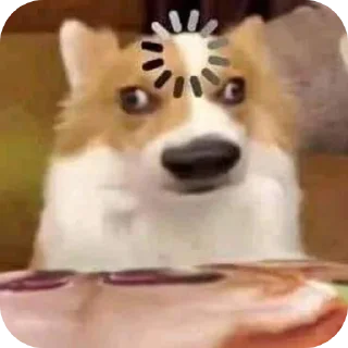 Телеграм стикер 🤨 ➪ @discussbot 🌱🌱🌱