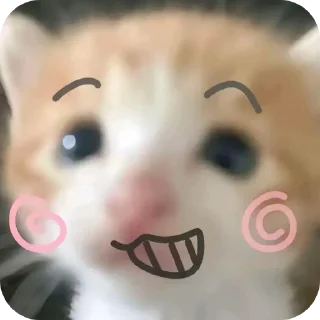 Video sticker 🤲 Cute cat