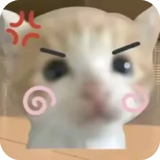 Telegram stiker 🤲 Cute cat